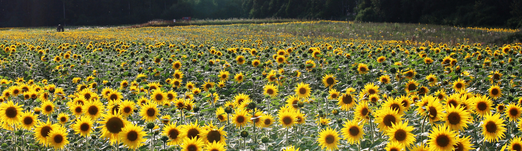 Foto & Bild | spezial, outdoor, licht Bilder auf fotocommunity