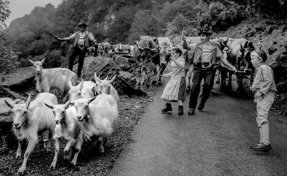 12......ALPFAHRT APPENZELL SCHWEIZ