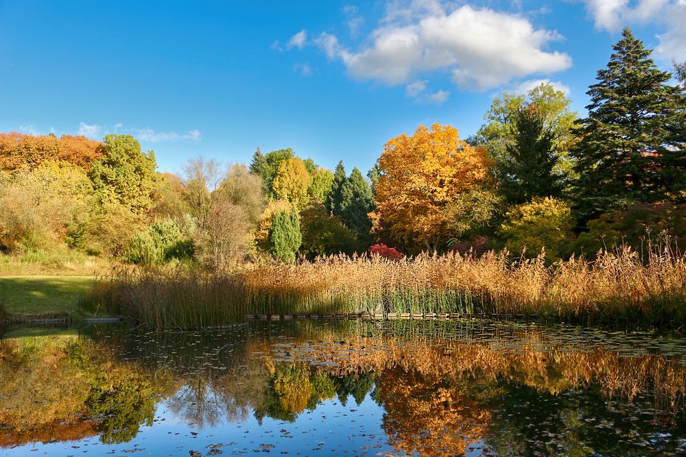 Botanischer Garten Frankfurt am Main von P i c c o