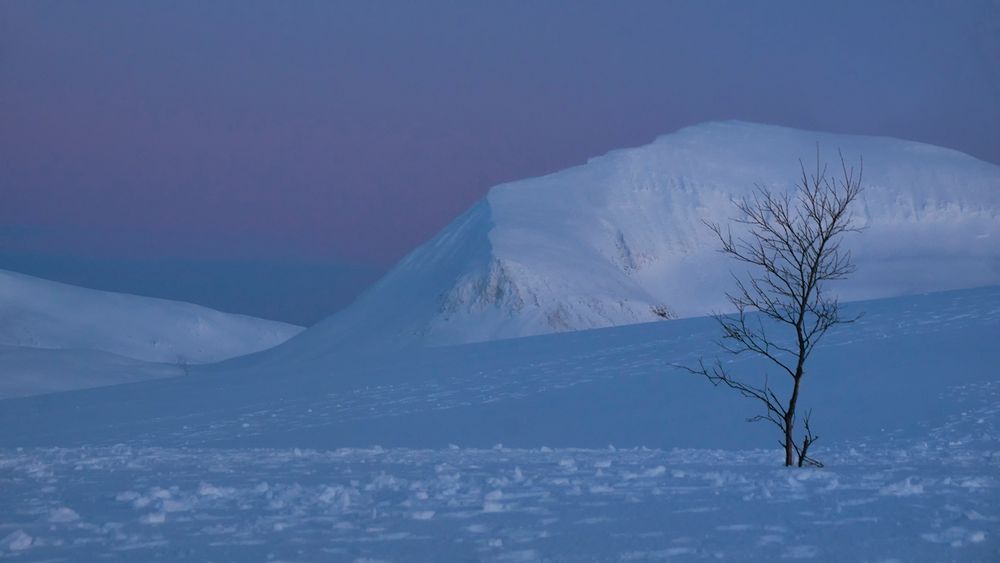 -12°C