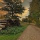 Wahner Heide am frhen Morgen