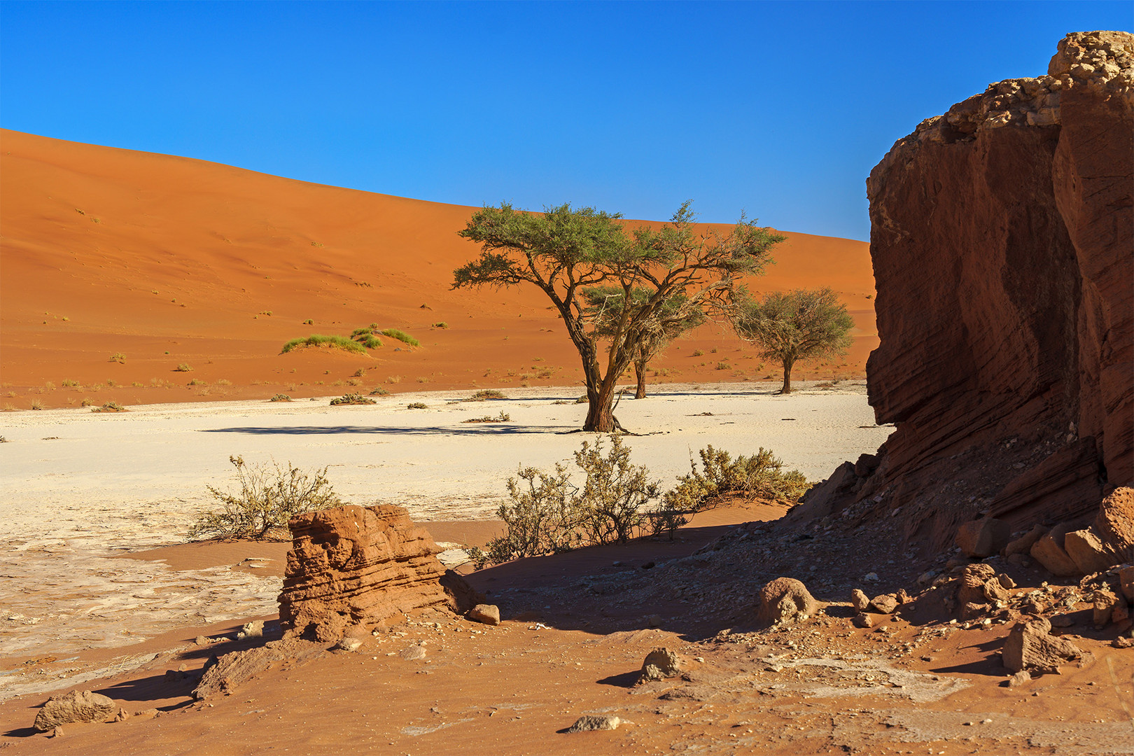 12_Dead Vlei