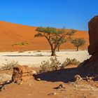 12_Dead Vlei