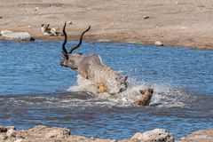 12_Erinnerung an Namibia April 2017