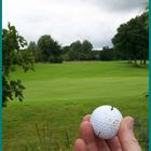 12.Lentföhrden-GOLF