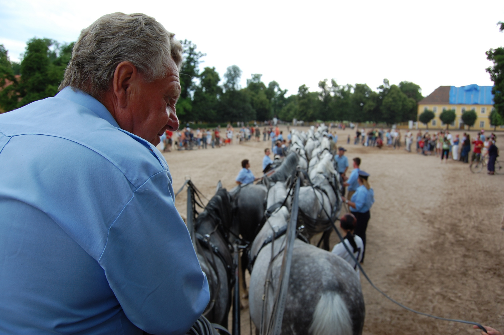 12X2 Old Kladruby Horses - world record