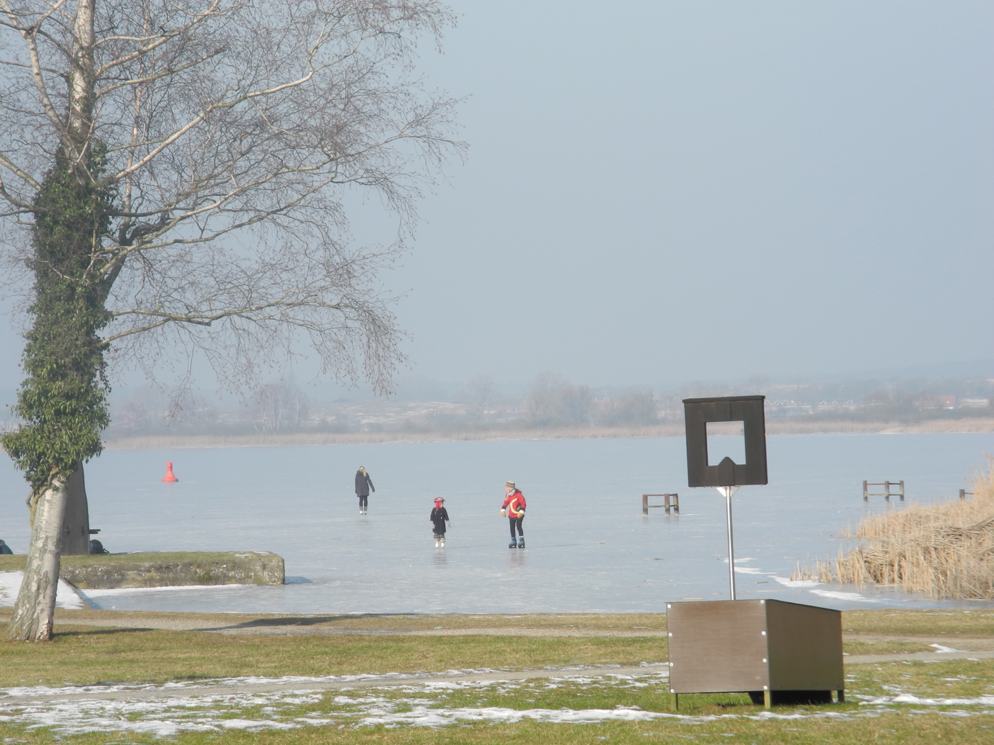 13-02-2017 Wintermut auf Zierker See