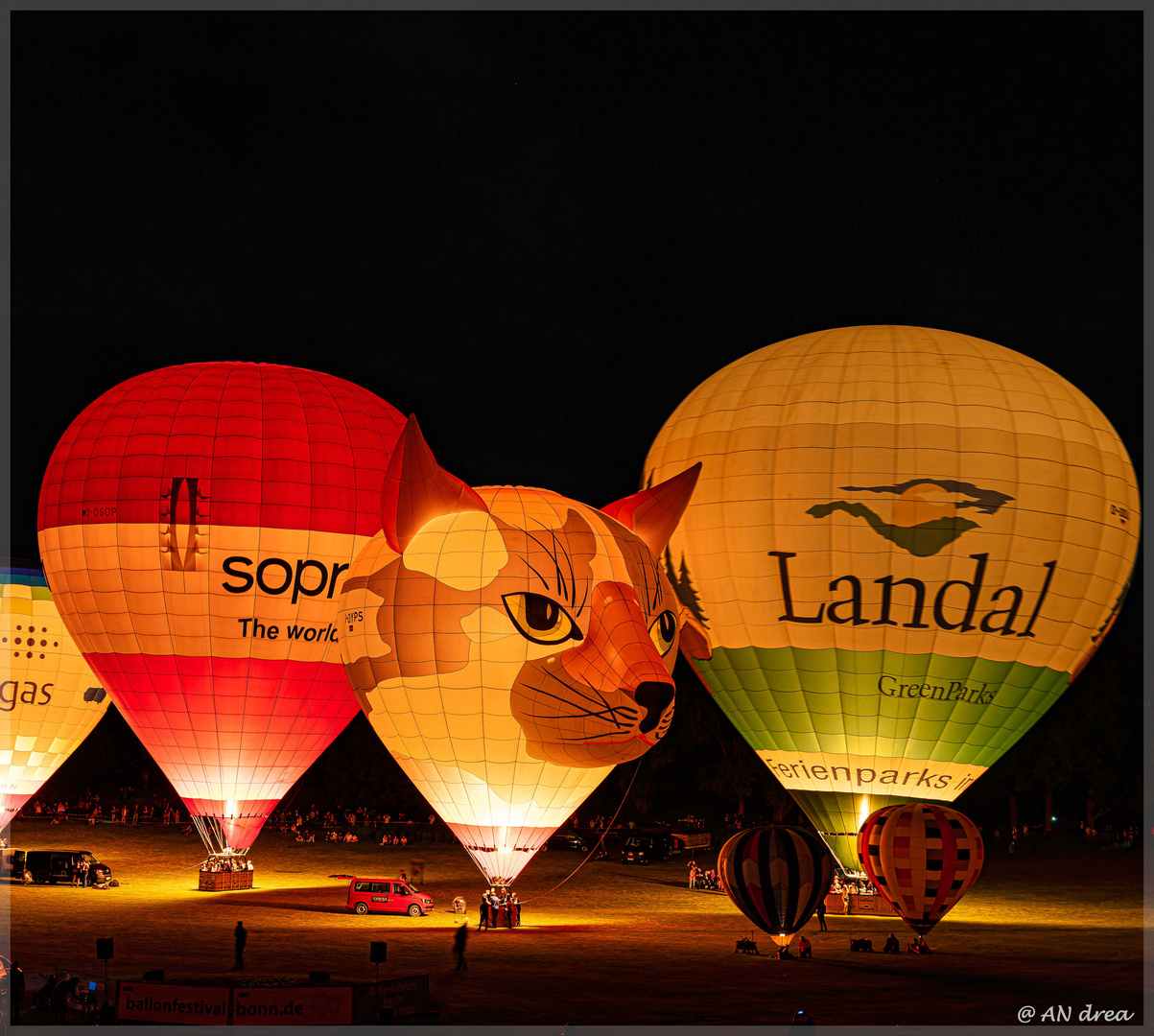 13. Ballonfestival Bonn Rheinaue Foto & Bild motive, events