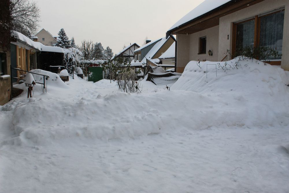 1/3 des Gartens ist nur freigeräumt aus Platzmangel