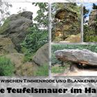 13 Die Teufelsmauer im Harz 7-2