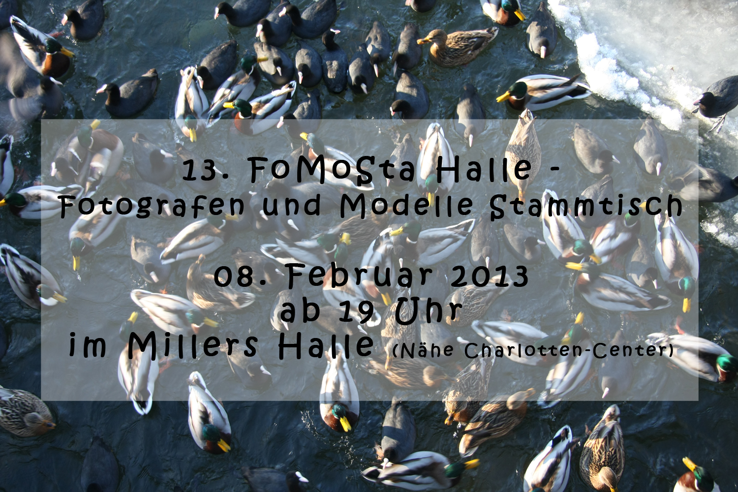 13. FoMoSta Halle am 08.02.13