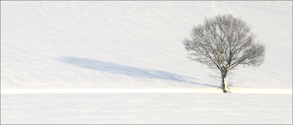 13 Grad - jetzt isser wech, der Schnee.