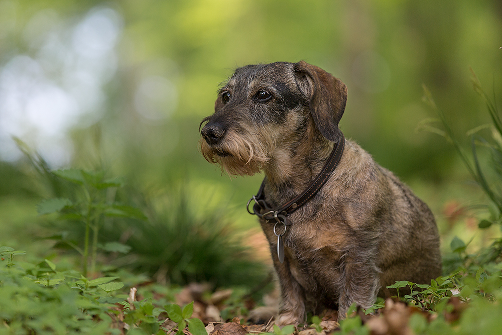 13 Jahre 13 Jahre