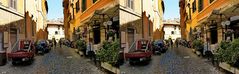 _ 13. Stadt Rom / Trastevere / X View