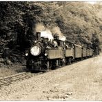 130 Jahre Selketalbahn #4