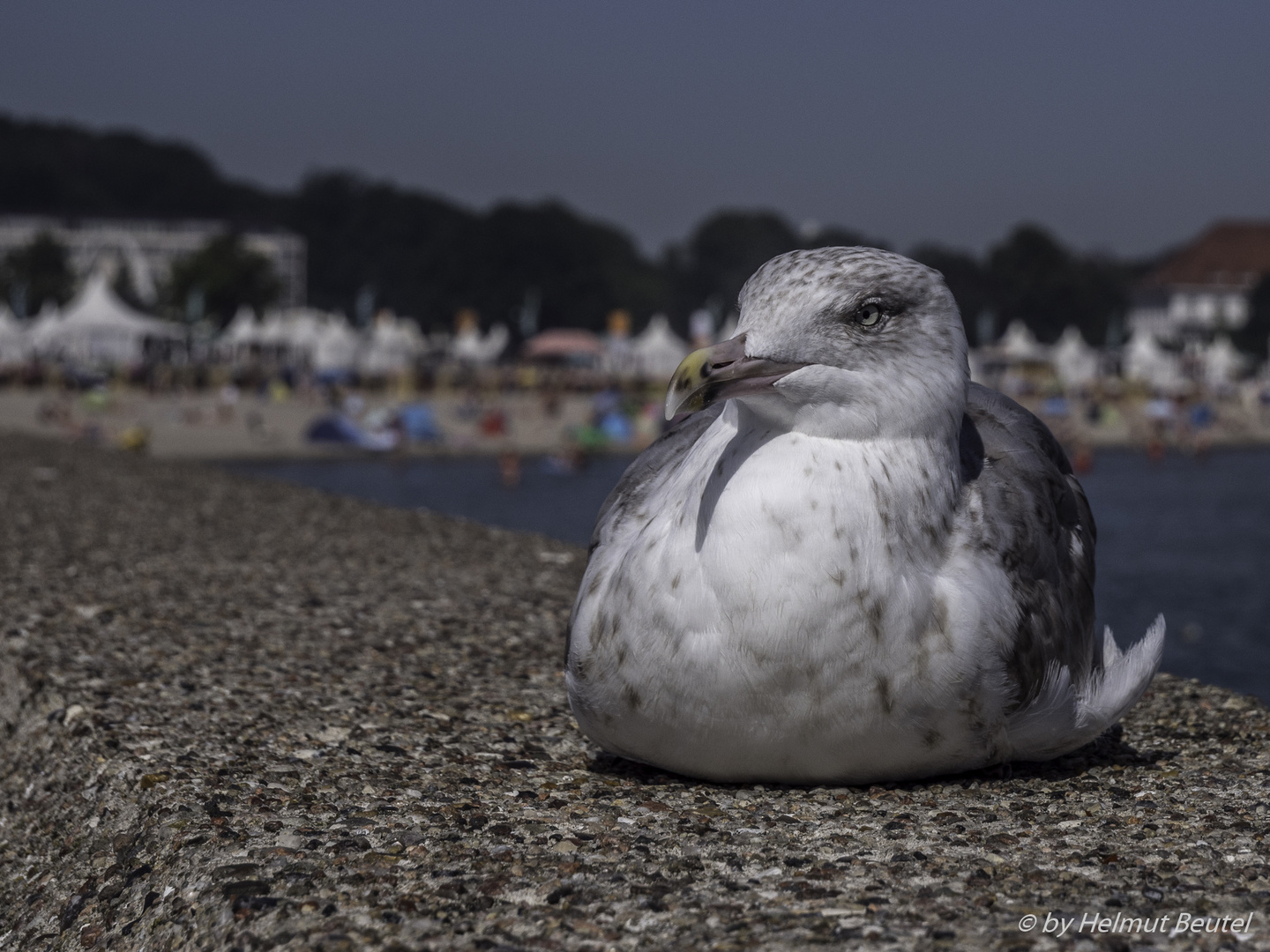 130. Travemünder Woche - Ich mach mal Pause