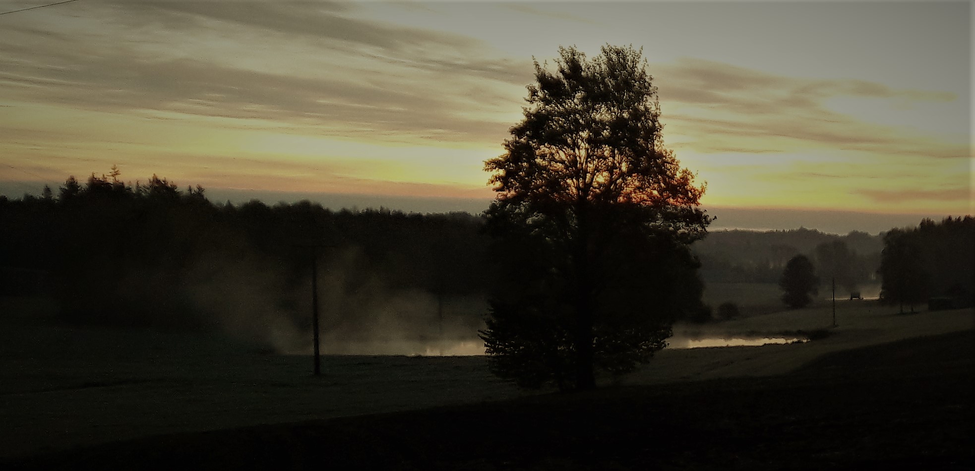 13.05.2020   Leuchtende Teiche im Nebeldunst