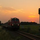 13.08.15 218 366 mit IC nach Heringsdorf 