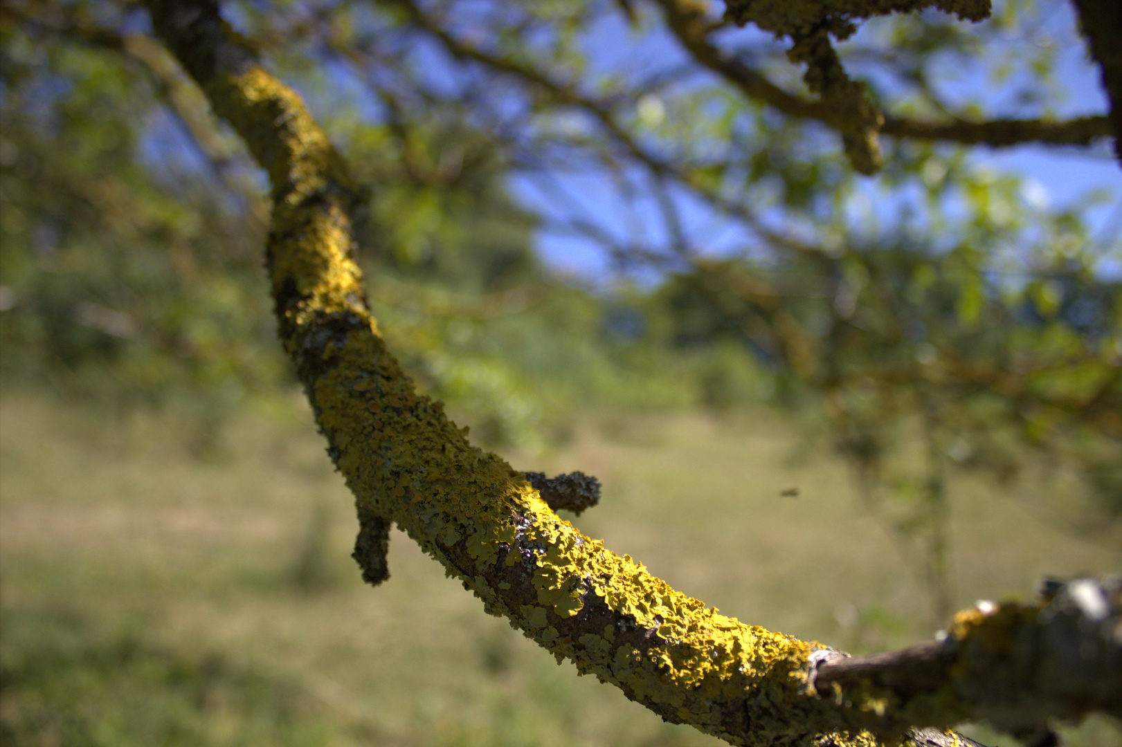 130816 Pulchritudo naturae in Franken