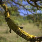 130816 Pulchritudo naturae in Franken