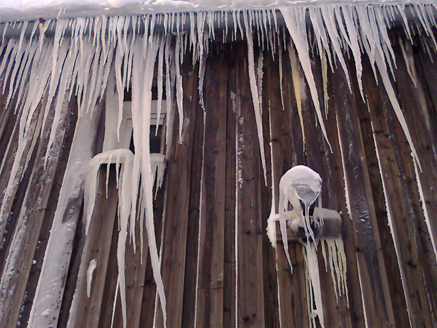 13.12.2012  Eisnasen in Windrichtung