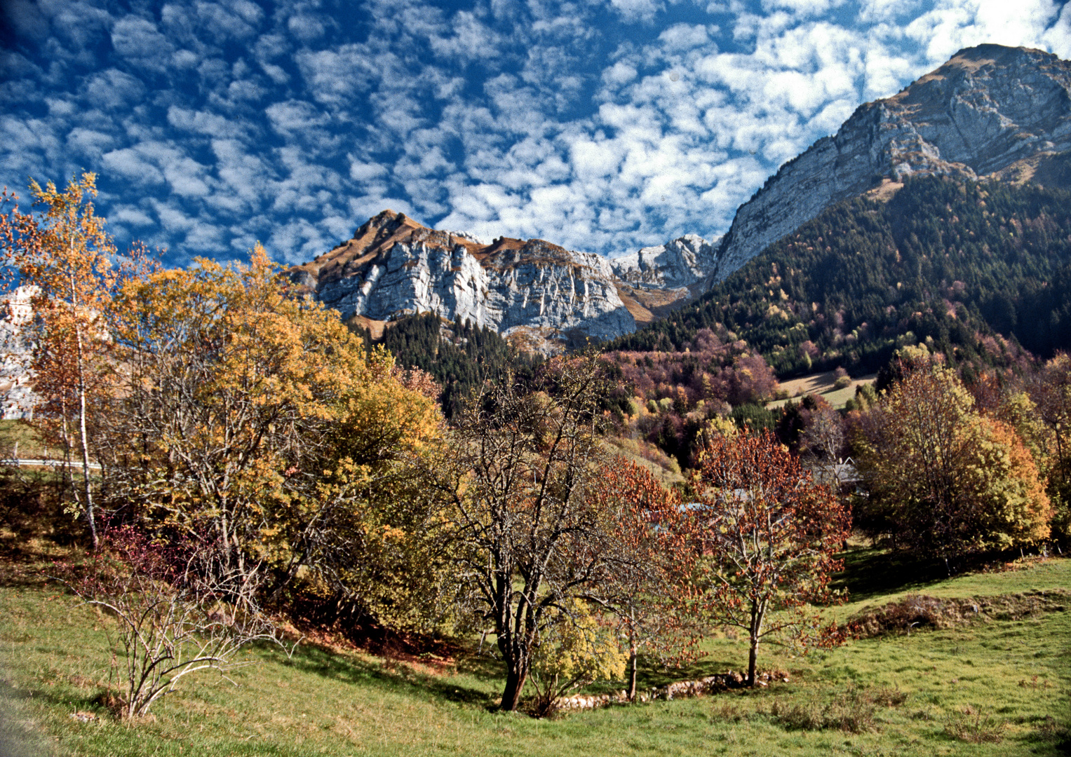 131....transhumance dans le ciel