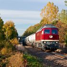 132 158 im herbstlichen Abendlicht