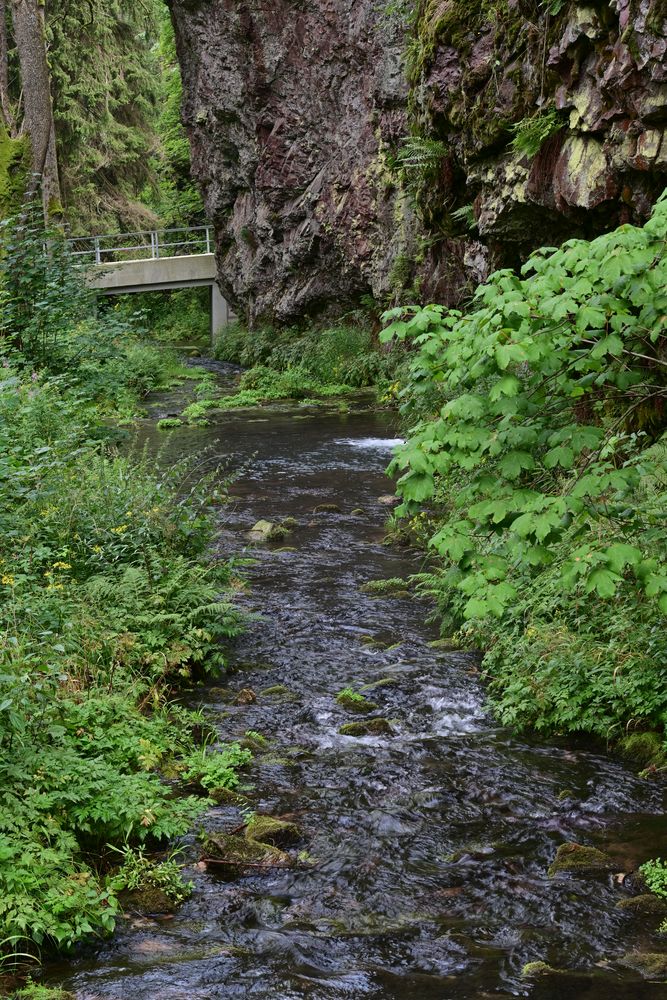 133 Silbergraben Blick Richtung Norden (unbearbeitet)