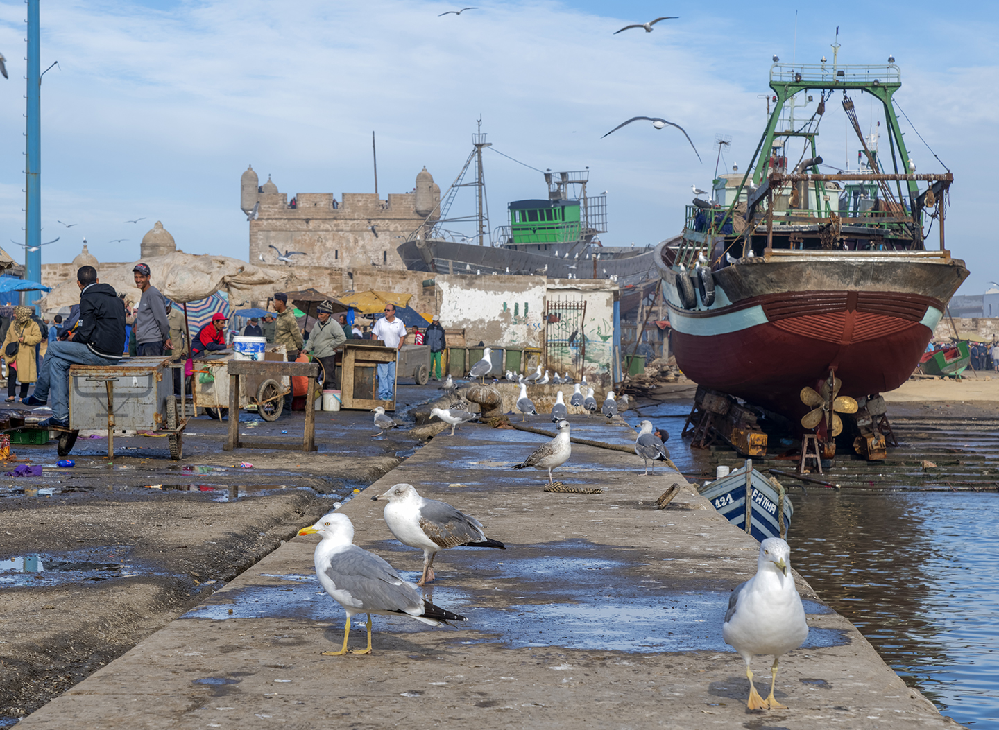 1345R Hafen Essaouira Marokko