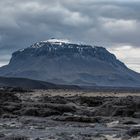 1363 Herðubreið- die Breitschultrige