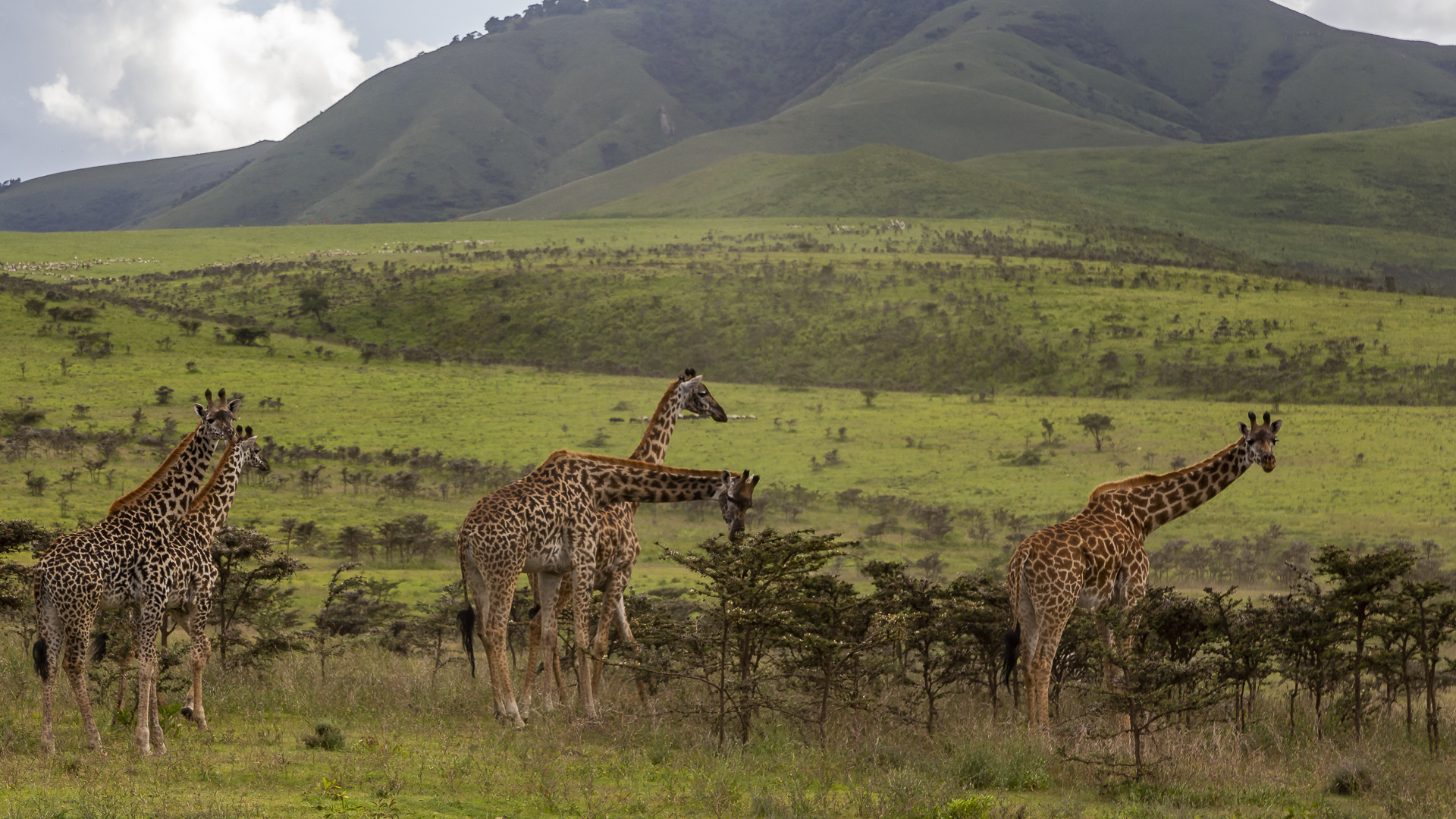 137-20190222 - Tansania - Nduturegion-Ngorongoro - IMG_4906