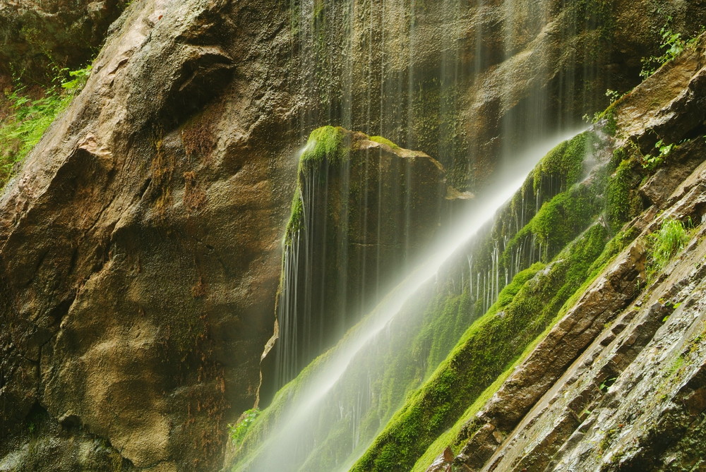 137 Schniefnasen in der Wimbachklamm...