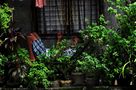 " Siesta in Marikina " , Manila by Christoph Willich 