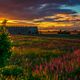 Sonnenuntergang an der Slawenburg Raddusch