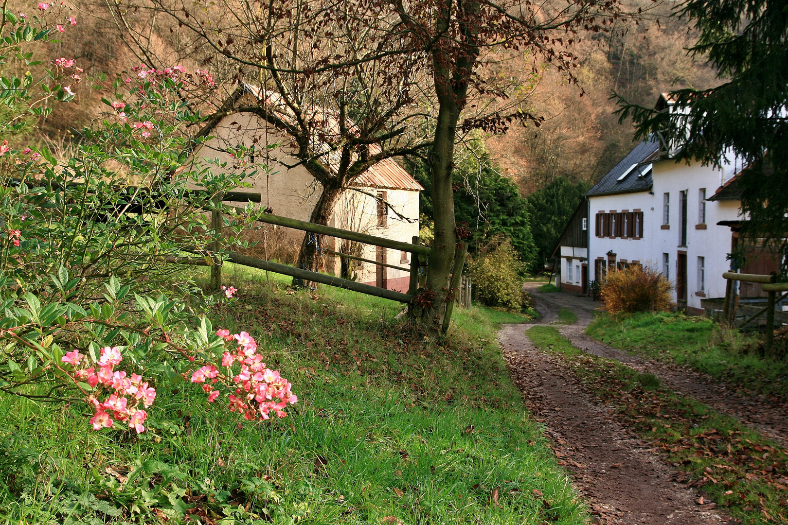 13789 Musweiler Mühle Foto & Bild world, deutschland, europe Bilder