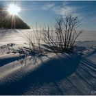 -13°C ... ein Wintermärchen