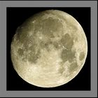 13.days MOON 'TLP (Transient Lunar Phenomena)''