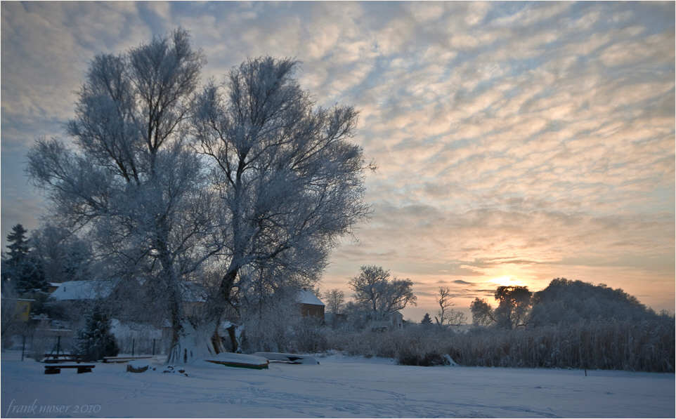 -14° C