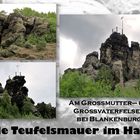 14 Die Teufelsmauer im Harz 8