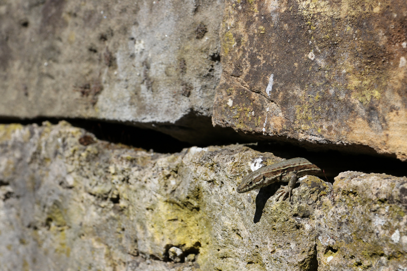 14 - Fotowalk Rotenberg und Mönchberg