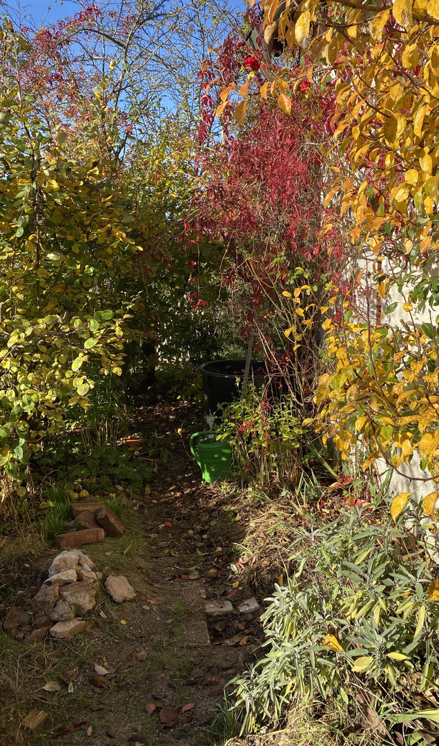 (14) Herbst in der Oberpfalz - schwarzweiß und bunt ...