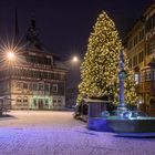 14 Meter hoher Weihnachtsbaum in Stein am Rhein