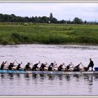 14. Mindener Weserdrachen-Cup vom 15. bis 17. Juni