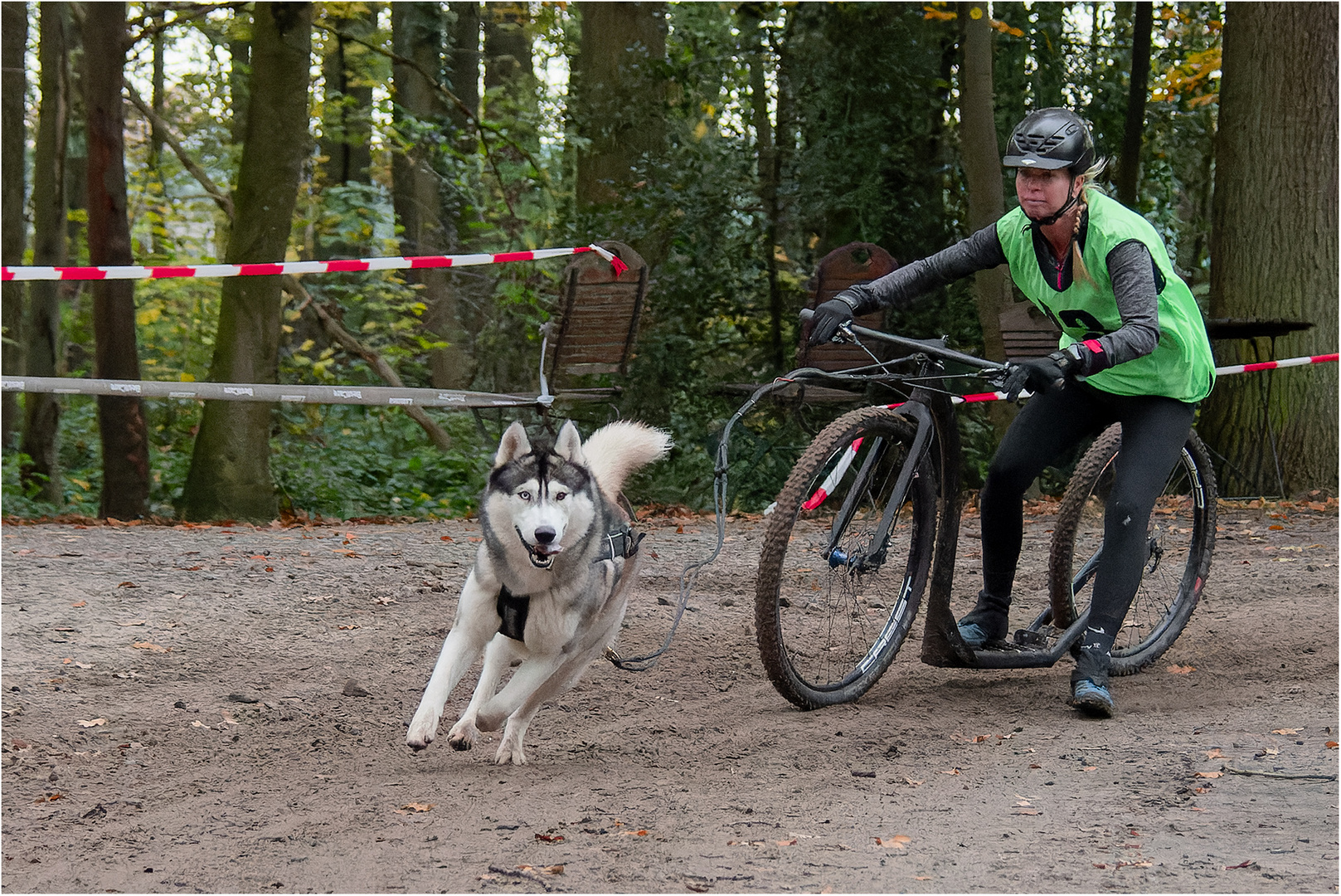 14. Schlittenhunderennen 