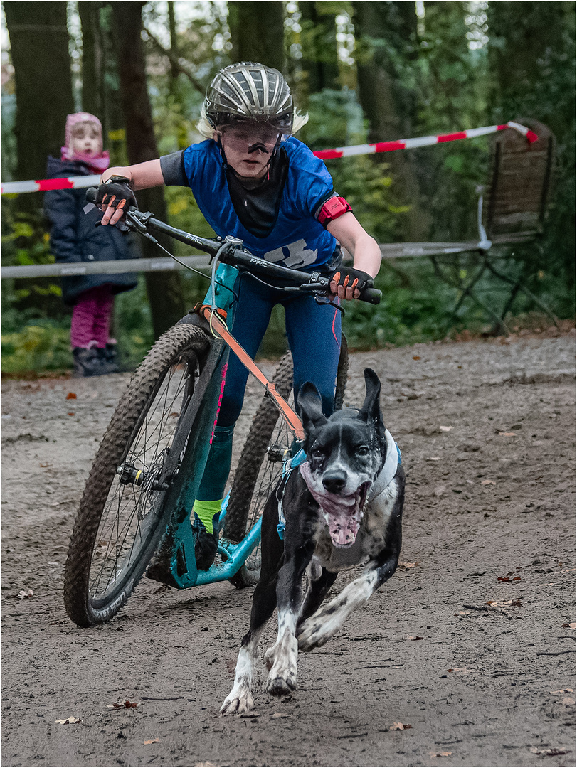 14. Schlittenhunderennen 