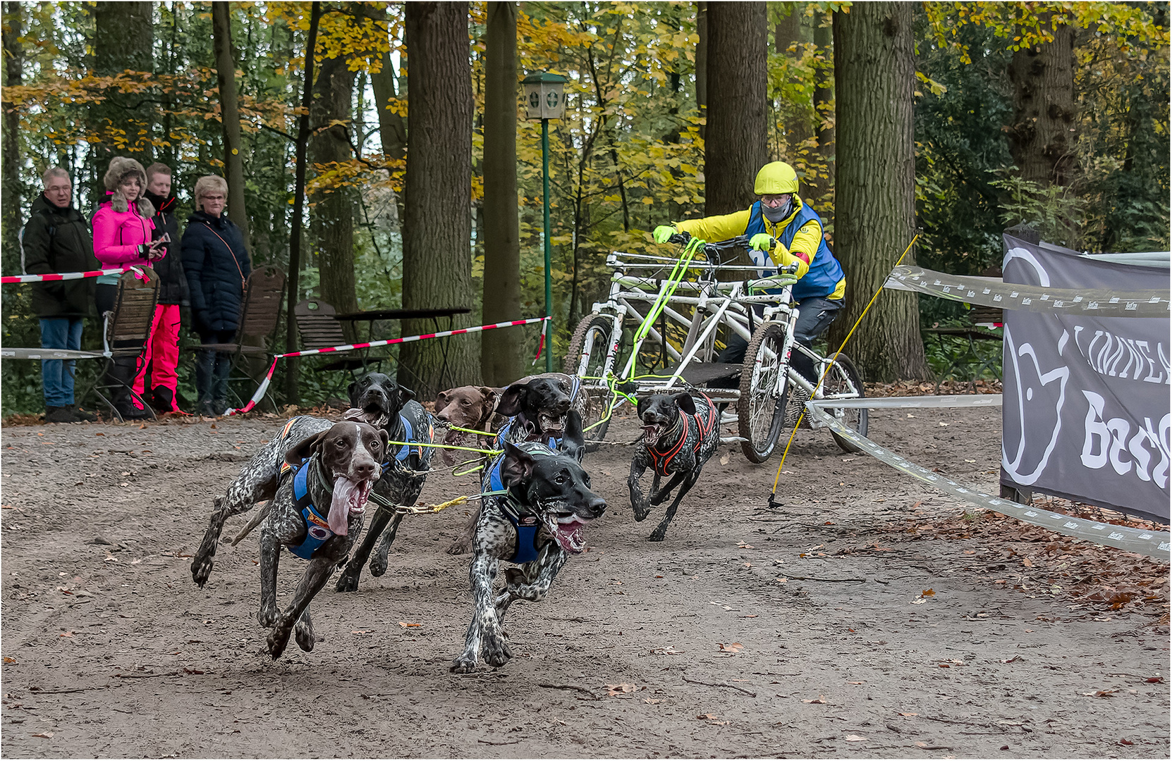 14. Schlittenhunderennen 