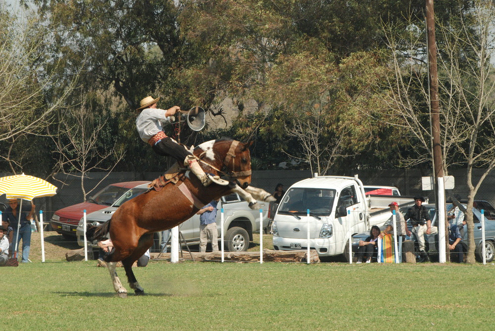 14 segundos.. jinete versus caballo