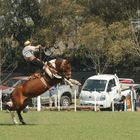 14 segundos.. jinete versus caballo