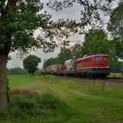 140 003-5 --Rail Cargo Carrier-- am 03.06.19 mit Circus Roncalli in Hamm-Neustadt