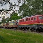 140 003-5 --Rail Cargo Carrier-- am 03.06.19 mit Circus Roncalli in Hamm-Neustadt III